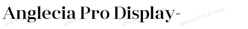Anglecia Pro Display字体转换